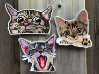 Kitten iron on patch cat iron on patch kitten patch cat patch yawning kitten patch